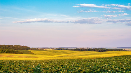 Similar image 20986841