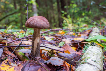 Similar image 20986847