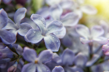 Similar image 20988878