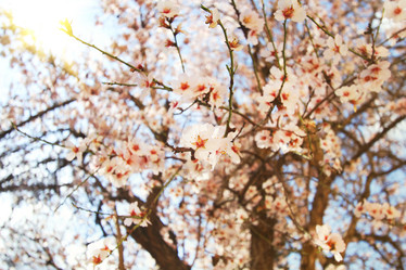 Similar image 20988880