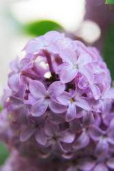 Similar image 20988884