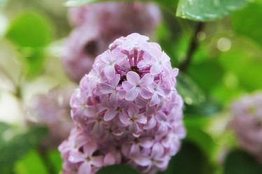 Similar image 20988885