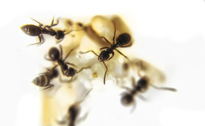 Similar image 20988891