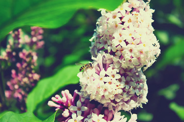 Similar image 20988899