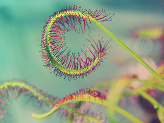 Similar image 20988900