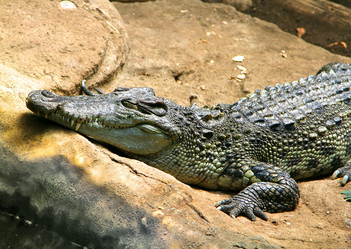 Similar image 20988908