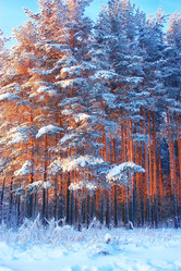 Similar image 20988913