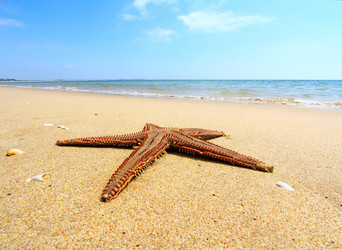 Similar image 20989514