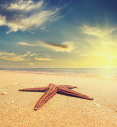 Similar image 20989515