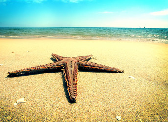 Similar image 20989516