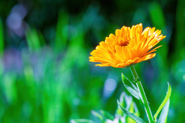 Similar image 20986688