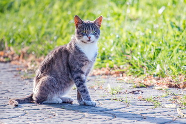 Similar image 20986689