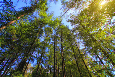 Similar image 20988693