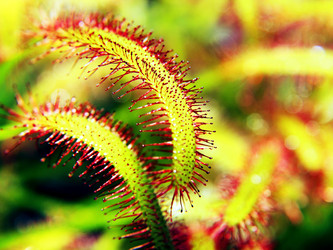 Similar image 20988697