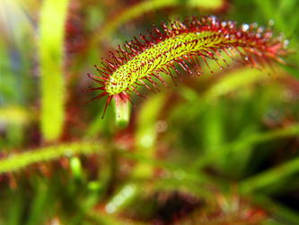 Similar image 20988698