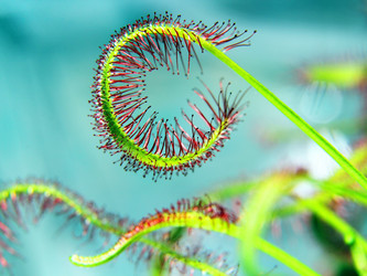 Similar image 20988943