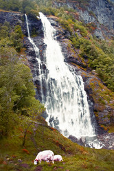 Similar image 20988953