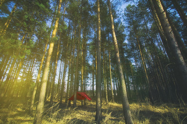 Similar image 20988969