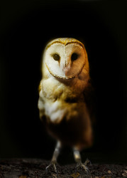 Similar image 20988971