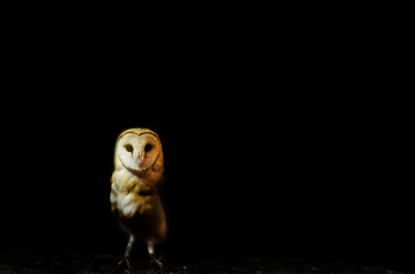 Similar image 20988973