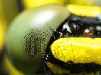 Similar image 20988978