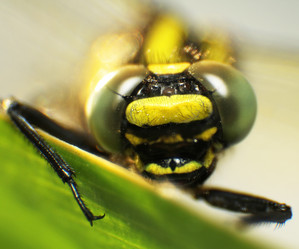 Similar image 20988980