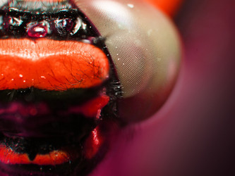 Similar image 20988981