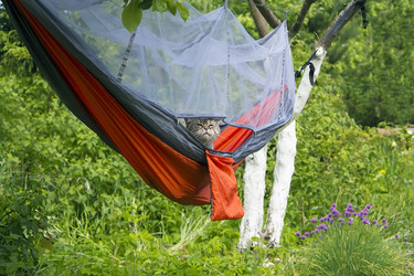 Similar image 20988982