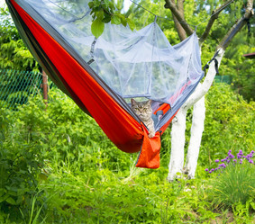 Similar image 20988983