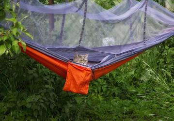 Similar image 20988985