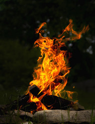 Similar image 20988988