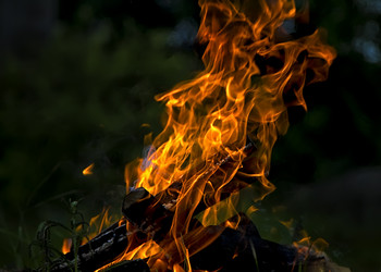 Similar image 20988989