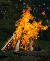 Similar image 20988995