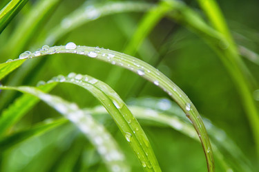 Similar image 20989000