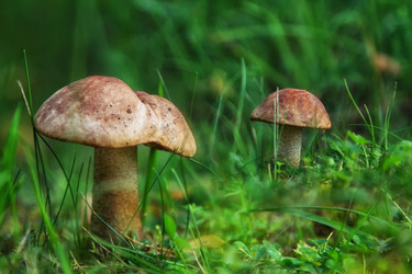 Similar image 20989535