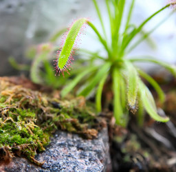 Similar image 20989538