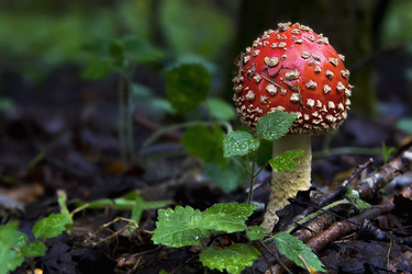 Similar image 20989539