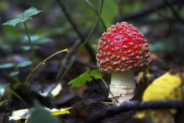 Similar image 20989541