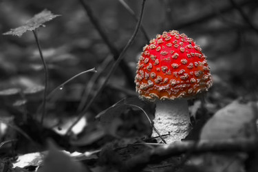 Similar image 20989542