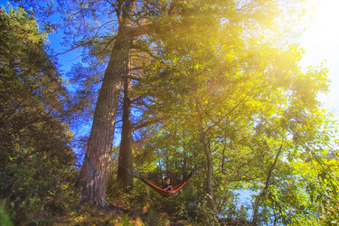 Similar image 20988701