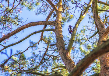 Similar image 20988702