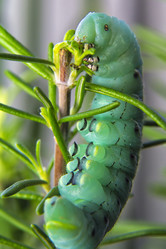 Similar image 20988714