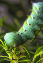 Similar image 20988715