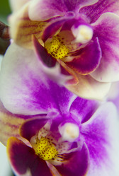 Similar image 20988723