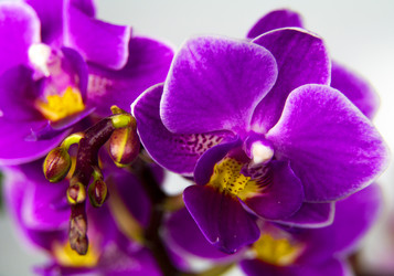 Similar image 20988726