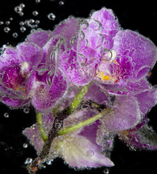 Similar image 20988729