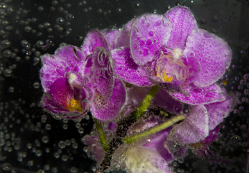 Similar image 20988732