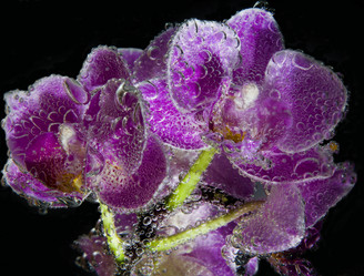 Similar image 20988733