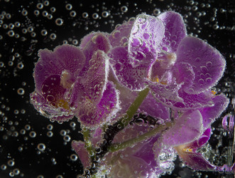 Similar image 20988735