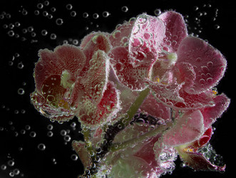 Similar image 20988736